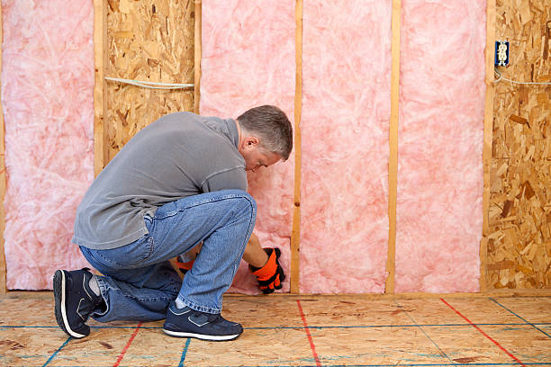Best Insulation Installation Services in Franklin, MI